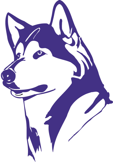 Washington Huskies 1995-2000 Partial Logo v2 diy fabric transfer